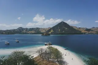 Where do Komodo dragons live? Their wild range in Indonesia
