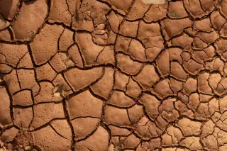 Illustration: Top-down close-up of dry, cracked reddish-brown earth with deep fissures.