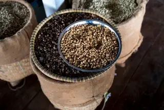 Illustration: A metal dish and woven basket holding coffee beans set atop burlap sacks on a wooden floor.