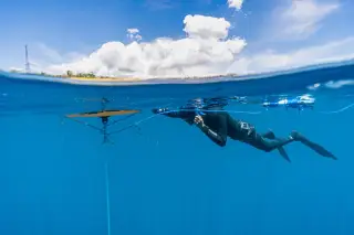 Illustration: A diver in black gear swims near the surface attached to a line, split between water and sky.