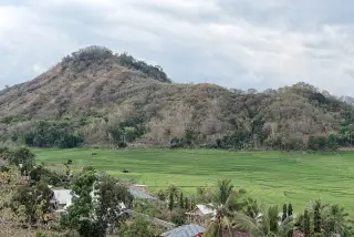 BNPB advances 385 temporary homes for Flores survivors in Manggarai