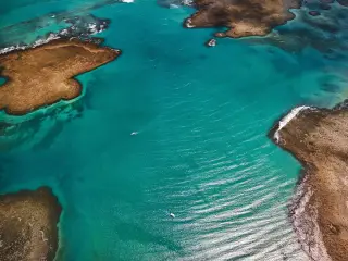 Illustration: Aerial view of turquoise coastal waters with small boats navigating between rocky reefs and shallows.