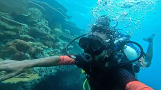 Illustration: A scuba diver swims near a coral reef underwater while releasing air bubbles.