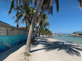 Illustration: A painted concrete wall and palm trees along a sandy beach under a clear blue sky.