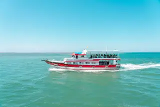 Illustration: A red and white passenger boat cruising across clear turquoise sea under a bright blue sky.