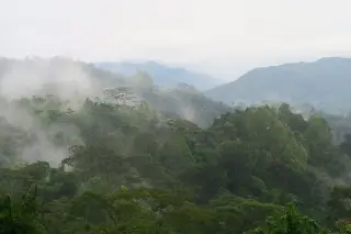 Magnitude-4.7 Earthquake Strikes North of Ruteng, Manggarai