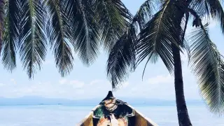 Illustration: A wooden canoe rests on a tropical beach framed by palm trees overlooking calm blue water.