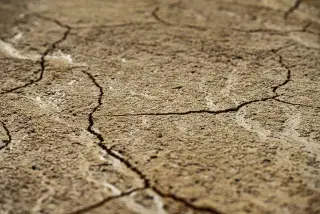 Illustration: A close-up view of dry, cracked ground texture.