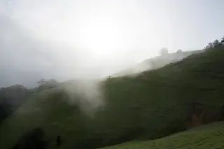 Illustration: A grassy green hillside shrouded in thick mist with a tiny distant human silhouette on the ridge.