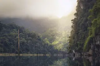 Illustration: Morning mist hanging over a forested lake surrounded by steep hills.