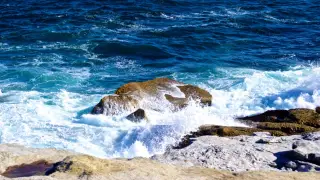 BMKG warns of hazardous waves in Komodo waters