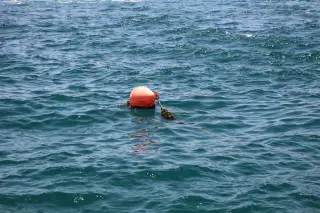 KM Feronia sinks off Tatawa Island as search continues