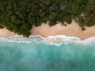 Illustration: Top-down aerial view of a tropical sandy beach with turquoise water and lush green trees.