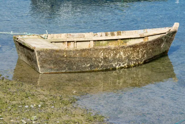 Komodo tide forecast shows why timing matters for boat trips