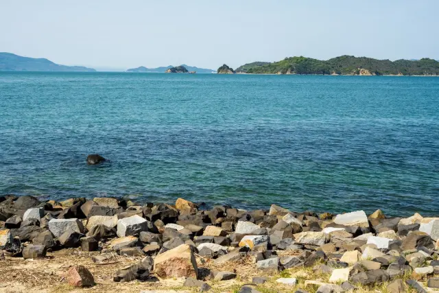 M4.8 earthquake strikes offshore northeast of Mbay; BMKG rules out tsunami