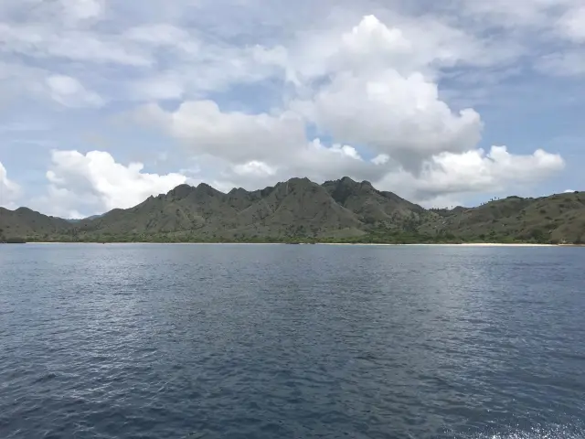 BMKG warns of moderate waves around Komodo through 26 September