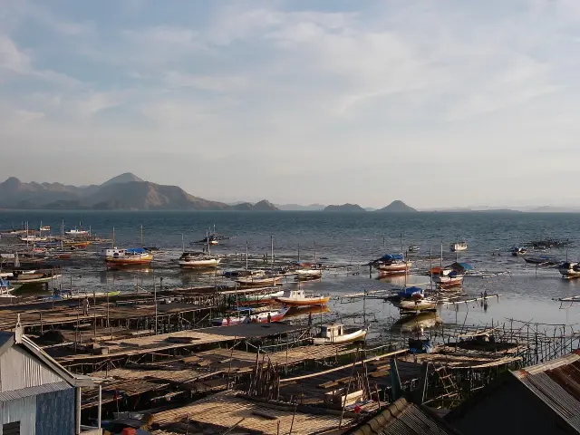 Komodo Park Enforces Fivefold Fine for Ticketless Entry