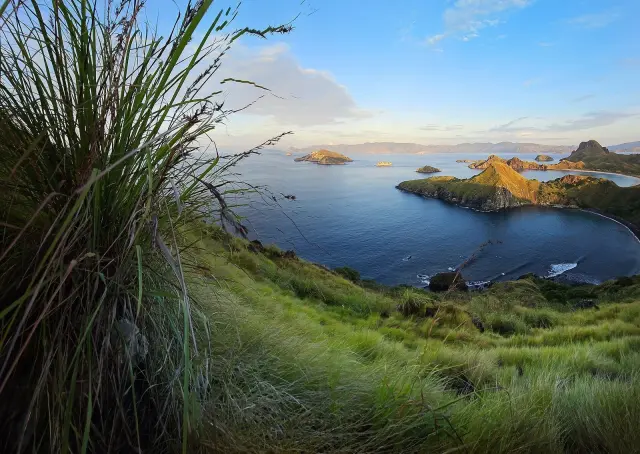East Nusa Tenggara caps Komodo visits at 50,000 a year