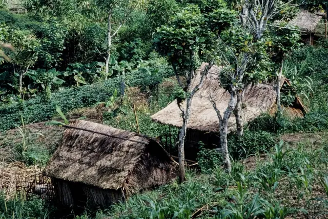 How many people live in Flores and the surrounding islands?
