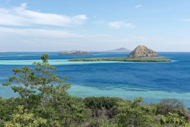 Komodo dragon Rinca Island: why this island matters for sightings and conservation
