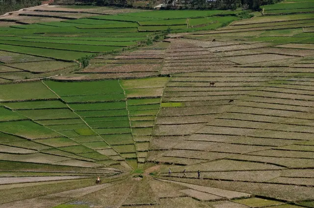 Virgula Schmitt’s legacy continues from Ruteng to Labuan Bajo