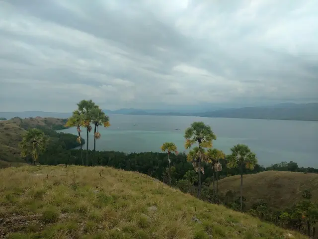 BMKG forecasts clear skies and strong-wind risk across East Nusa Tenggara