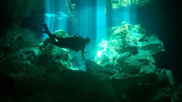 How to read Komodo dive forecasts and reef-monitoring data