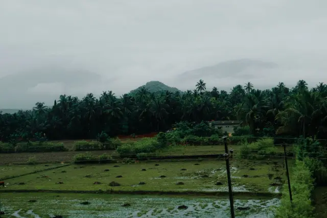BMKG forecasts rain in Ruteng on Wednesday