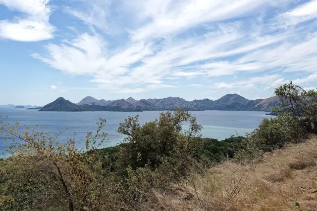 How Komodo National Park rules protect wildlife while managing tourism